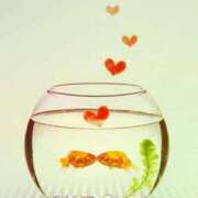 ひとみ December☆彡 人妻小旅行