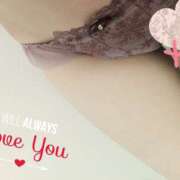 ヒメ日記 2025/02/12 12:21 投稿 まりな 脱がされたい人妻 春日部店