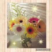 ヒメ日記 2025/02/12 23:40 投稿 小谷仁乃 プレジデントハウス