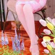 ヒメ日記 2025/03/06 09:52 投稿 小谷仁乃 プレジデントハウス