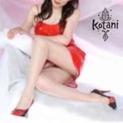 ヒメ日記 2025/03/22 08:00 投稿 小谷仁乃 プレジデントハウス