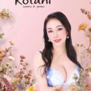 ヒメ日記 2025/03/24 14:20 投稿 小谷仁乃 プレジデントハウス