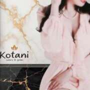 ヒメ日記 2025/04/08 08:00 投稿 小谷仁乃 プレジデントハウス