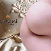 ヒメ日記 2025/05/04 23:51 投稿 小谷仁乃 プレジデントハウス