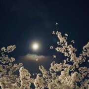 ヒメ日記 2025/04/08 16:01 投稿 片瀬さくら 松戸人妻花壇