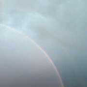 ヒメ日記 2026/04/28 20:01 投稿 片瀬さくら 松戸人妻花壇