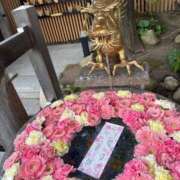 ヒメ日記 2025/11/23 20:44 投稿 ユウ バニーコレクション新潟店