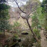 ヒメ日記 2025/04/01 20:12 投稿 まおり 奥様はエンジェル　国分寺店