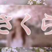 ヒメ日記 2025/03/25 12:30 投稿 みゆき 池袋人妻ヒットパレード（シンデレラグループ）