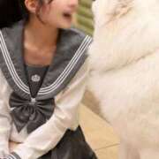 ヒメ日記 2025/10/14 14:46 投稿 あき Versailles