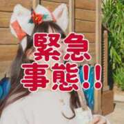 ヒメ日記 2025/10/15 16:01 投稿 あき Versailles