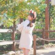 ヒメ日記 2025/11/06 15:31 投稿 あき Versailles