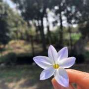 ヒメ日記 2025/04/07 22:29 投稿 みわ 完熟ばなな八王子