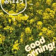 ヒメ日記 2025/04/11 09:13 投稿 みわ 完熟ばなな八王子