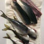 ヒメ日記 2025/05/17 20:52 投稿 みわ 完熟ばなな八王子