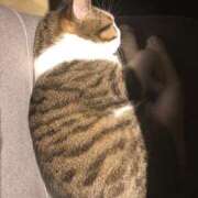 ヒメ日記 2025/06/04 19:29 投稿 みわ 完熟ばなな八王子