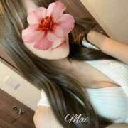 ヒメ日記 2025/08/12 23:41 投稿 福原 まい CELEB SPA PREMIUM