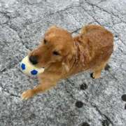 ヒメ日記 2025/03/23 01:39 投稿 水無月 あおい カサノヴァ