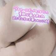 水無月 あおい 【12月】出勤予定🎄🤍.* カサノヴァ