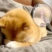 水無月 あおい 😱😱😱😱😱 カサノヴァ