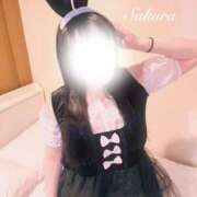 ヒメ日記 2025/03/19 01:22 投稿 さくら 密着指導！バカンス学園 尼崎校