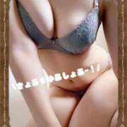 ヒメ日記 2025/11/17 08:45 投稿 さゆり トマトなび