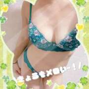 ヒメ日記 2025/11/20 09:01 投稿 さゆり トマトなび