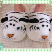 ヒメ日記 2025/11/22 19:15 投稿 さゆり トマトなび