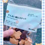 ヒメ日記 2025/11/26 15:01 投稿 さゆり トマトなび