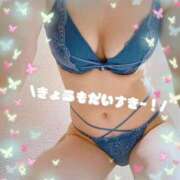 ヒメ日記 2025/11/28 07:57 投稿 さゆり トマトなび