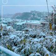 ヒメ日記 2026/02/08 07:33 投稿 さゆり トマトなび