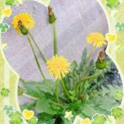 ヒメ日記 2026/04/11 19:30 投稿 さゆり トマトなび