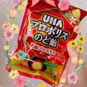 ヒメ日記 2026/04/12 15:30 投稿 さゆり トマトなび