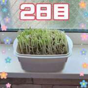 ヒメ日記 2026/06/03 22:10 投稿 さゆり トマトなび