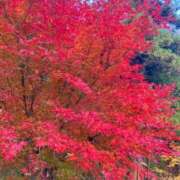 ヒメ日記 2025/12/02 10:05 投稿 チノ 西川口ハートショコラ（シンデレラグループ）