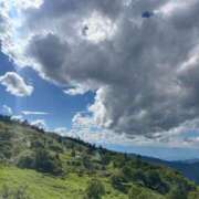 ヒメ日記 2026/01/25 08:33 投稿 チノ 西川口ハートショコラ（シンデレラグループ）