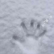 ヒメ日記 2026/02/08 20:22 投稿 チノ 西川口ハートショコラ（シンデレラグループ）