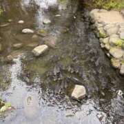 ヒメ日記 2026/02/15 00:17 投稿 チノ 西川口ハートショコラ（シンデレラグループ）