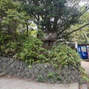 ヒメ日記 2026/02/20 00:18 投稿 チノ 西川口ハートショコラ（シンデレラグループ）