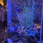 ヒメ日記 2026/04/04 09:38 投稿 チノ 西川口ハートショコラ（シンデレラグループ）