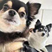 ヒメ日記 2025/03/31 00:49 投稿 ちなつ【潮吹き巨乳保育士】 Aris（アリス）☆超恋人空間☆沖縄最大級！！