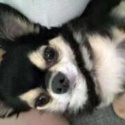 ヒメ日記 2025/08/30 16:19 投稿 ちなつ【潮吹き巨乳保育士】 Aris（アリス）☆超恋人空間☆沖縄最大級！！