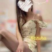 ヒメ日記 2025/03/09 11:30 投稿 かずは トマトなび