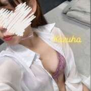 ヒメ日記 2025/03/26 11:50 投稿 かずは トマトなび