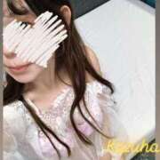 ヒメ日記 2025/03/31 12:26 投稿 かずは トマトなび