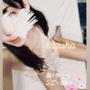 ヒメ日記 2025/04/02 00:03 投稿 かずは トマトなび