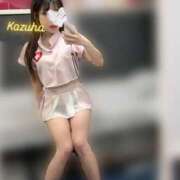 ヒメ日記 2025/04/08 18:03 投稿 かずは トマトなび