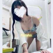 ヒメ日記 2025/04/15 18:37 投稿 かずは トマトなび