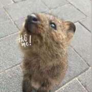 ヒメ日記 2025/04/27 22:06 投稿 かずは トマトなび