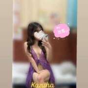 ヒメ日記 2025/05/23 12:26 投稿 かずは トマトなび